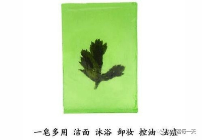 艾草手工皂 融合古法智慧與現代生活的綠色艾制品